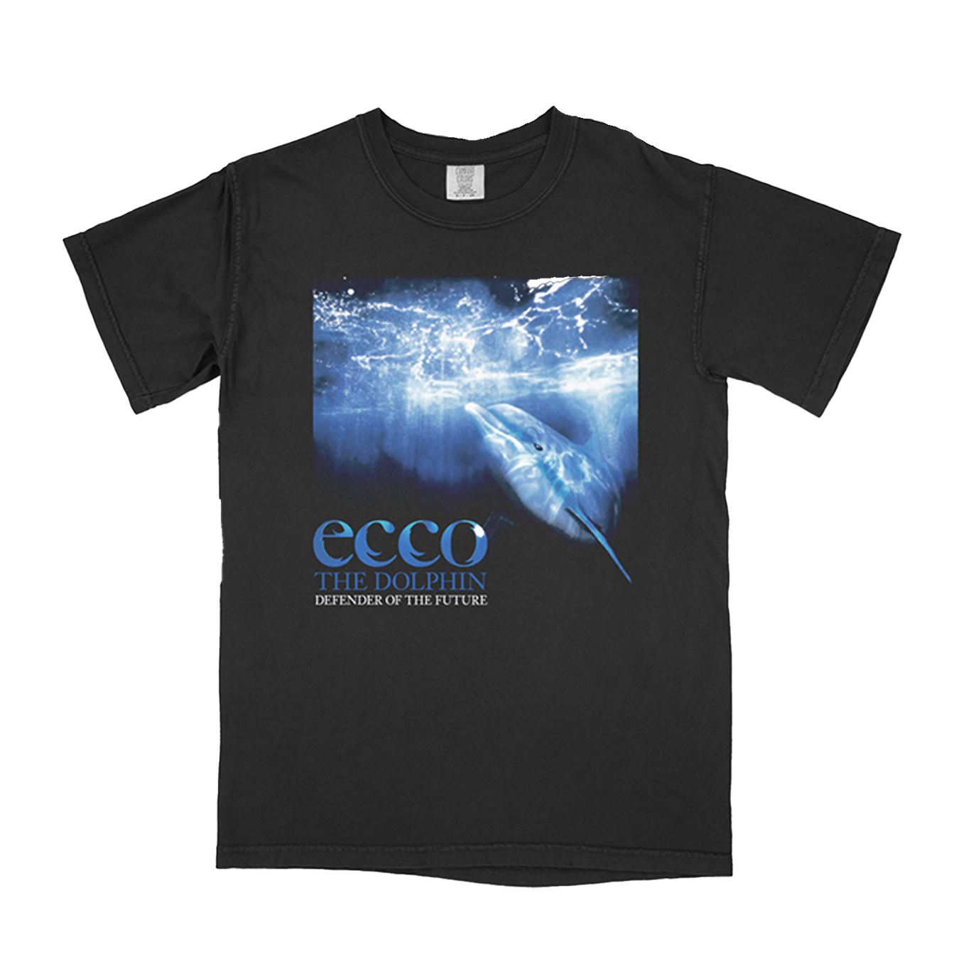 Dolphin Appreciation