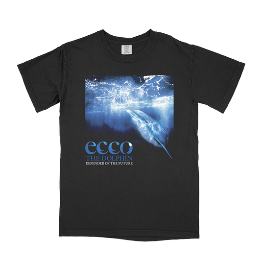 Dolphin Appreciation